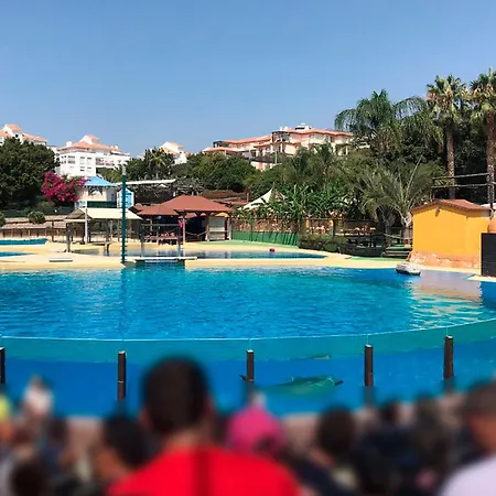 Camorreto & Pool Apartment *
