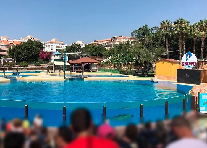 Camorreto & Pool Apartment *